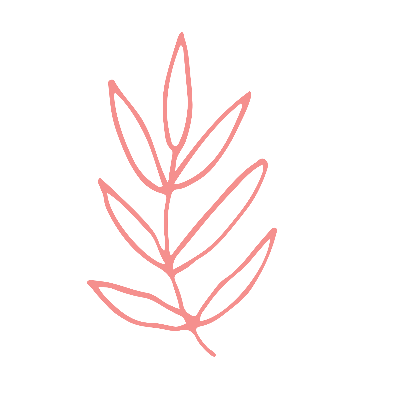 Blad 1 - Rosa