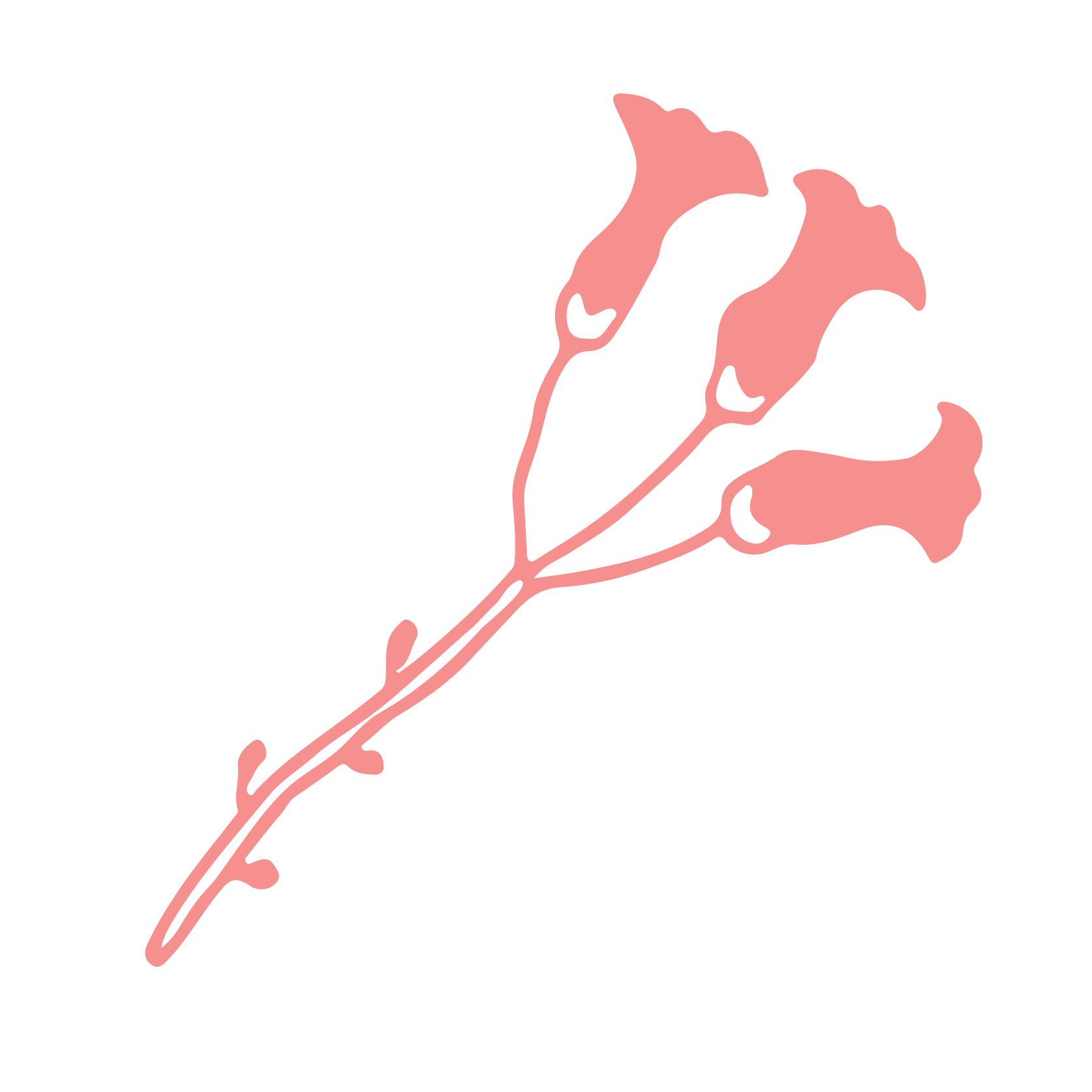 Blomst 3 - Rosa