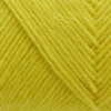 251 Electric Yellow