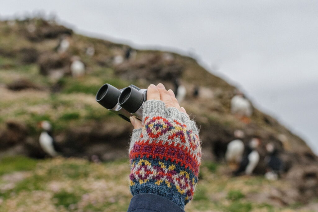 Fair Isle Weekend (engelsk) - Bilde 6