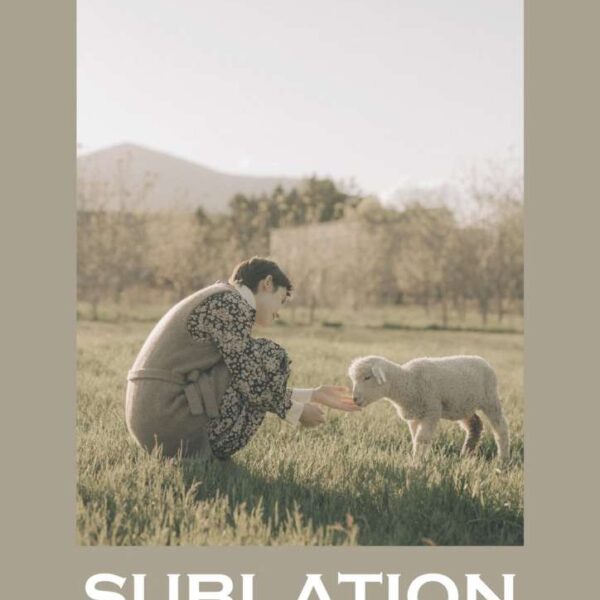 Sublation - DARUMA Collection 2021