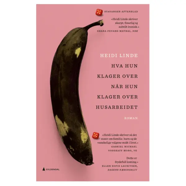 Hva hun klager over når hun klager over husarbeidet - Heidi Linde