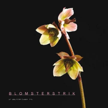 Blomsterstrik av Annette Danielsen