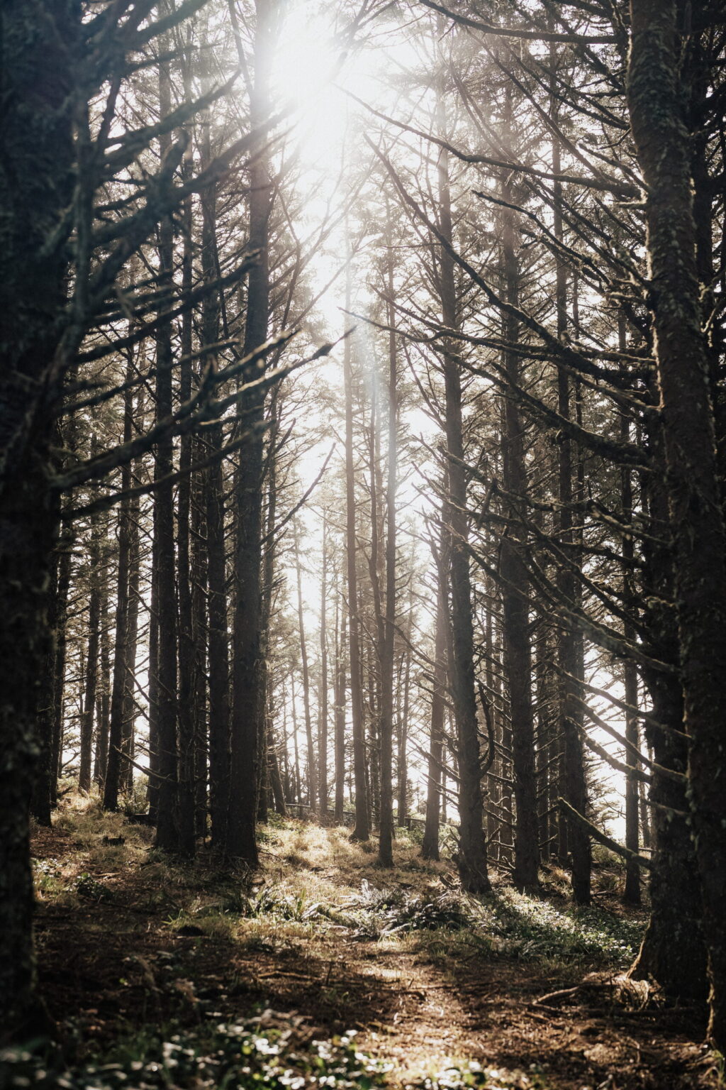 Salt & Timber - Lindsey Fowler - Bilde 4