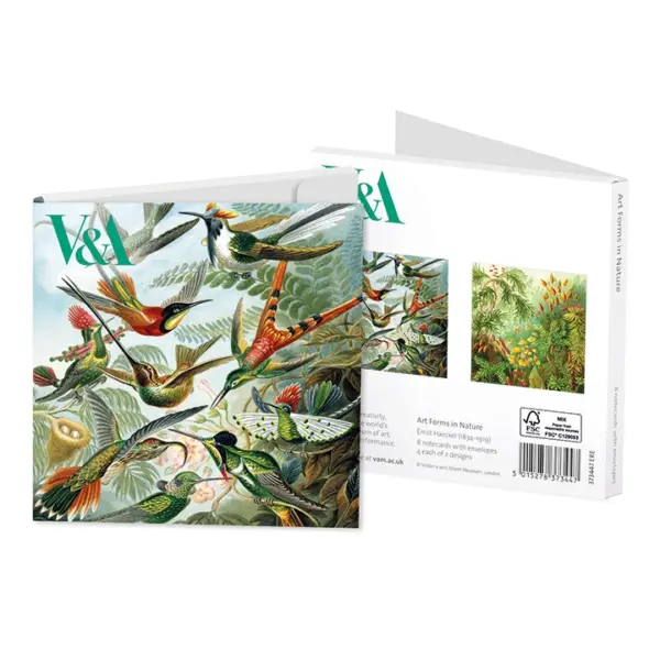 Notecards - Art Forms in Nature