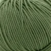 13278 (mosegrønn)