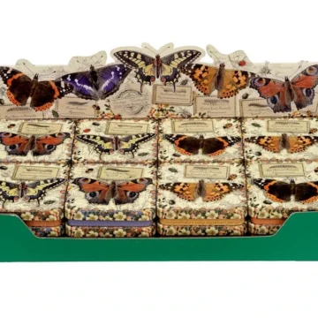Vintage butterfly - boks
