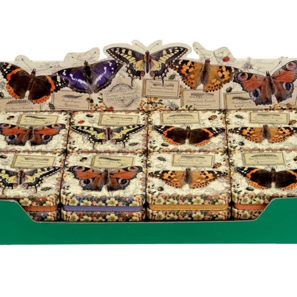 Vintage butterfly - boks