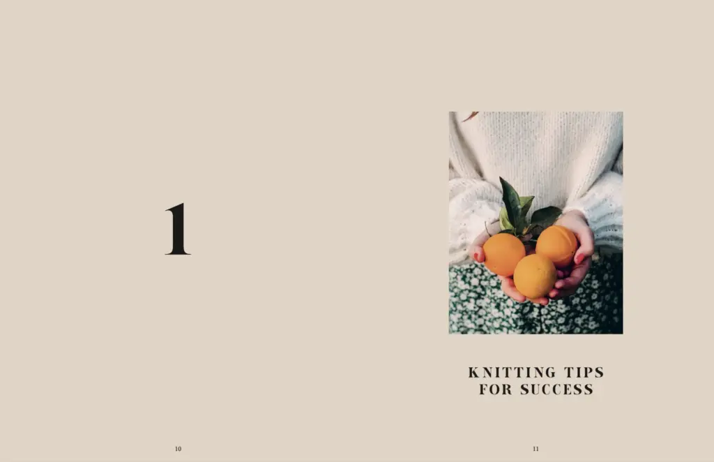Knit This - Veronika Lindberg - Bilde 4