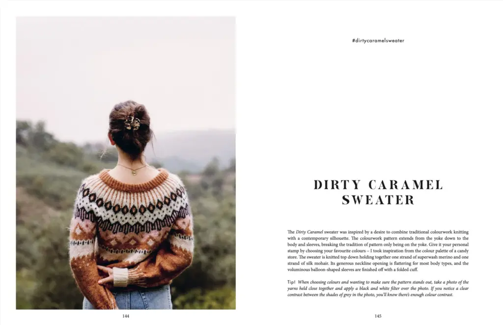 Knit This - Veronika Lindberg - Bilde 7