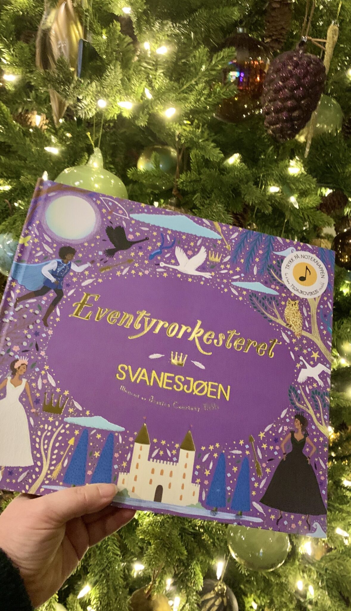 Eventyrorkesteret: Svanesjøen - Bilde 5