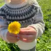 celeste sweater junior PetiteKnit frukvist.no strikkegenser mønsterstrikk