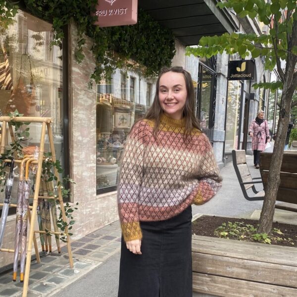 Spot Sweater Color Guide av Anne Ventzel