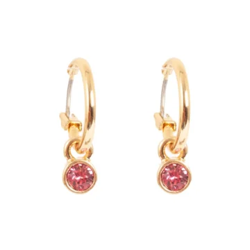 Ørering med Swarovski anheng