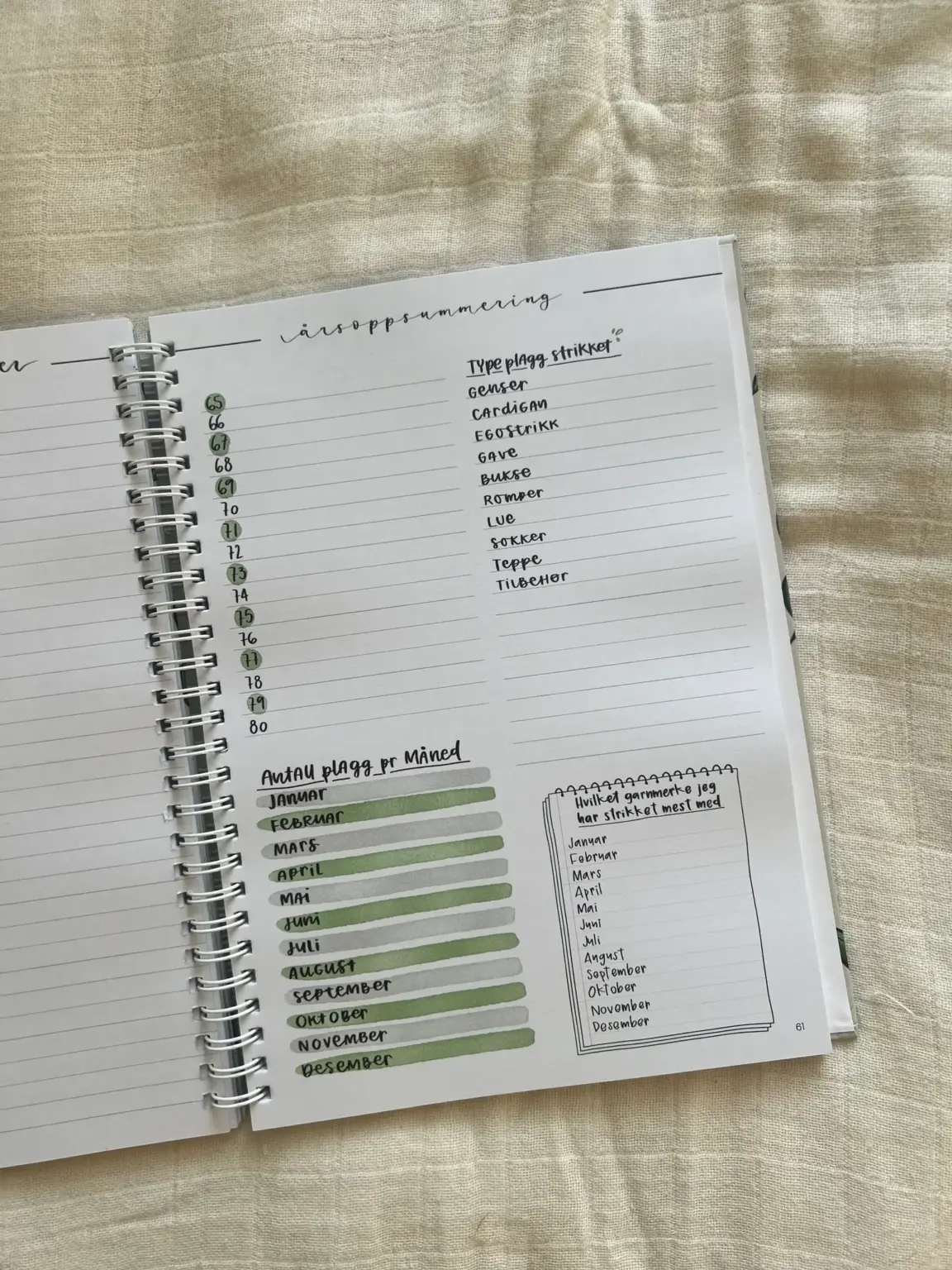The Bullet Journal for Knitters 2025 - Bilde 22