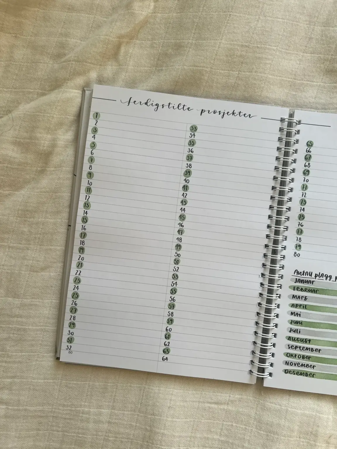 The Bullet Journal for Knitters 2025 - Bilde 20