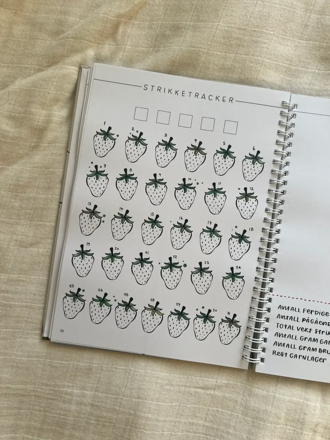 The Bullet Journal for Knitters 2025 - Bilde 8