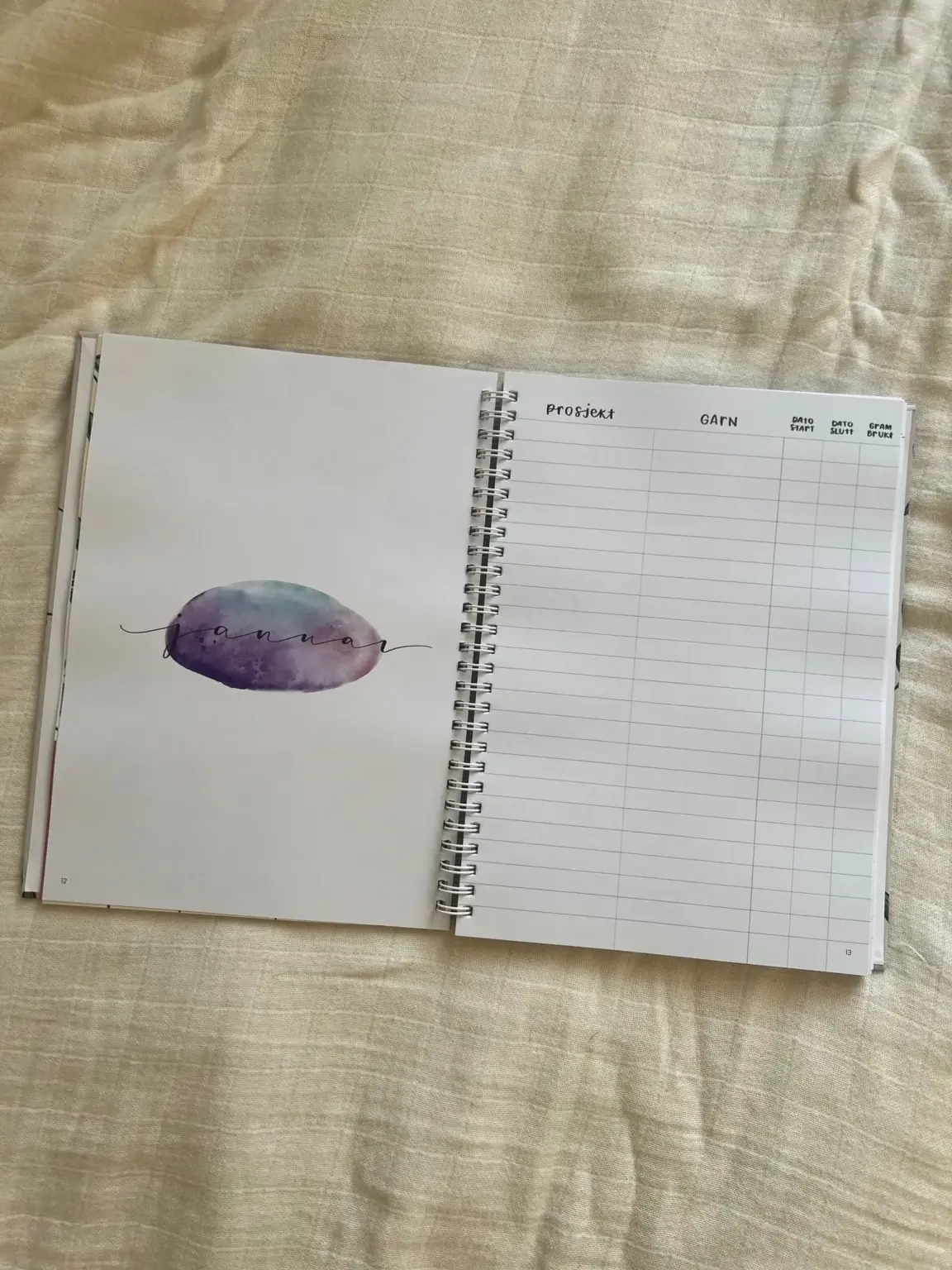 The Bullet Journal for Knitters 2025 - Bilde 19