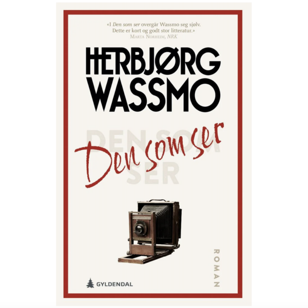 Den som ser - Herbjørg Wassmo
