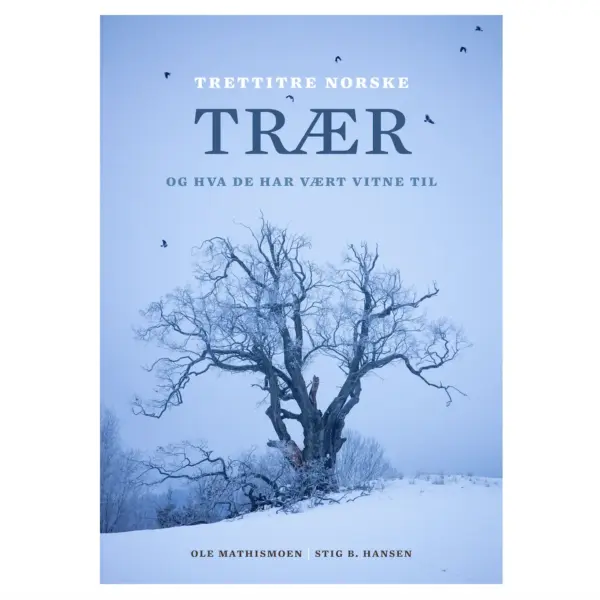 Trettitre norske trær og hva de har vært vitne til