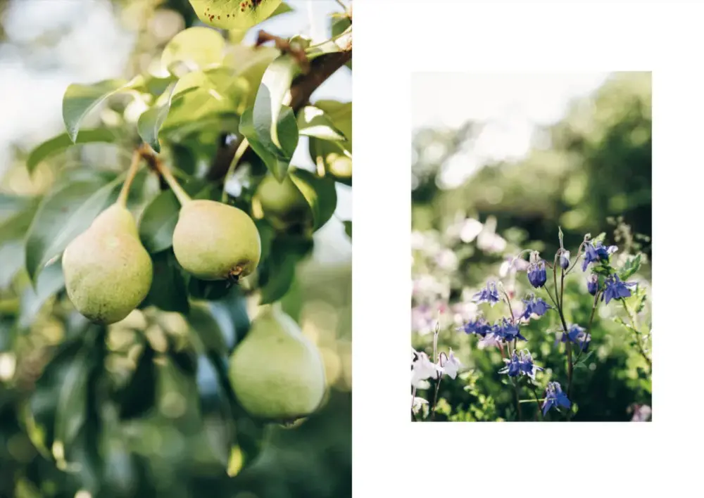 Knits from the Garden - Bilde 7