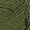 9573 Mosegrønn