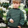 Sandnes Garn South Sweater Junior, grønn versjon