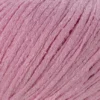 27 Rosa