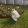 Berit i Fisherman Cardigan fra Filcolana