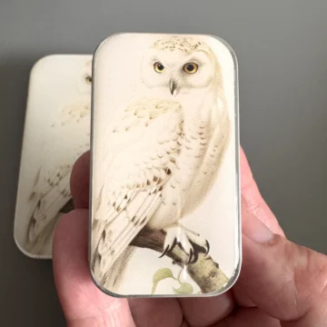 Firefly Notes Notions Tin Liten Snowy Owl Boks