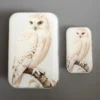 Firefly Notes Notions Tin Stor og Liten Snowy Owl Boks