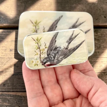 Firefly Notes Notions Tin Spring Swallow liten