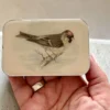 Firefly Notes Notions Tin Redpoll Bird Boks