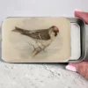 Firefly Notes Notions Tin Redpoll Bird Boks