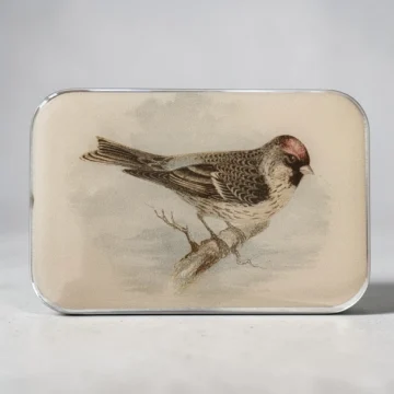 Firefly Notes Metallboks: Redpoll bird