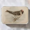Firefly Notes Notions Tin Redpoll Bird Boks