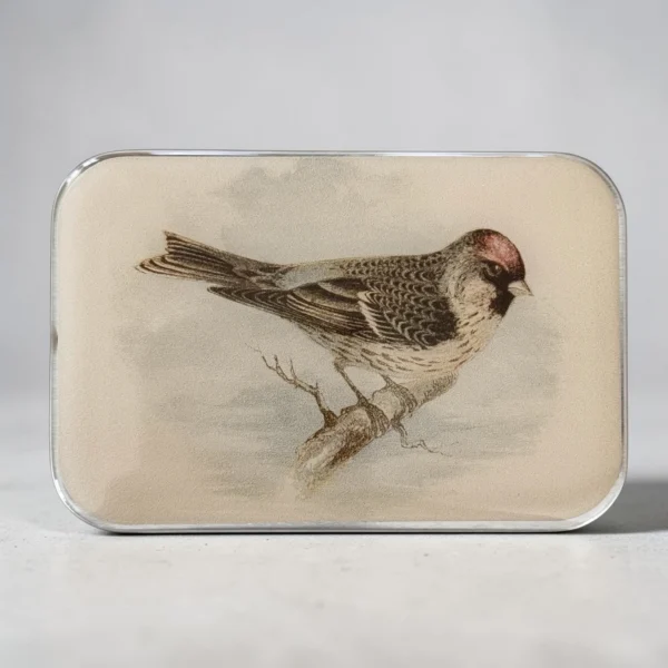Firefly Notes Notions Tin Redpoll Bird Boks