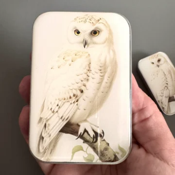 Firefly Notes Notions Tin Stor Snowy Owl Boks