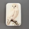 Firefly Notes Notions Tin Stor Snowy Owl Boks