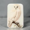 Firefly Notes Notions Tin Stor Snowy Owl Boks