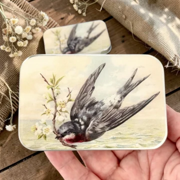 Firefly Notes Notions Tin Spring Swallow stor