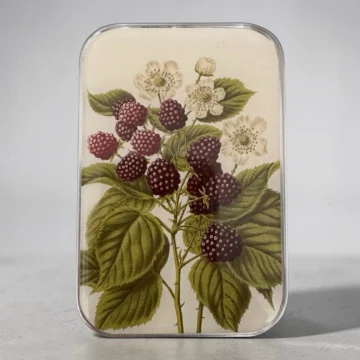Firefly Notes Notions Tin Wild Blackberry stor boks