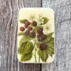 Firefly Notes Notions Tin Wild Blackberry stor boks