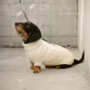 Molly Max av Anne Ventzel, strikke ti Peruvian