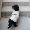 Molly Max av Anne Ventzel, strikke ti Peruvian
